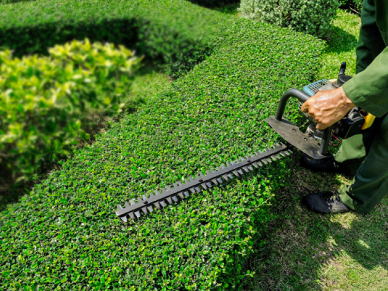 Entretien d'espaces verts près de Corbeil-Essonnes