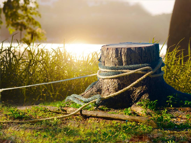 Entretien d'espaces verts près de Corbeil-Essonnes