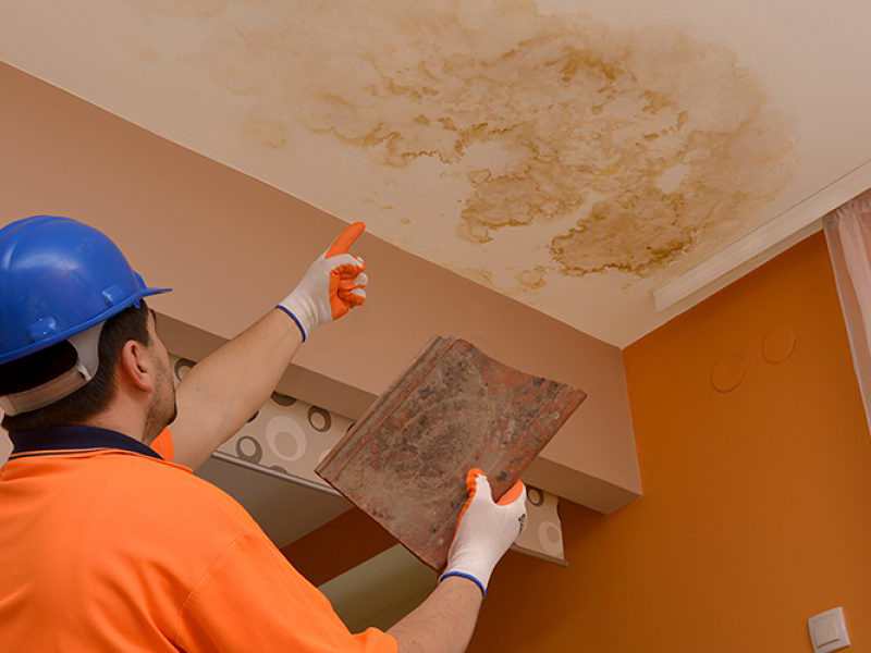 Maintenance et remise en état de locaux dans l'Essonne